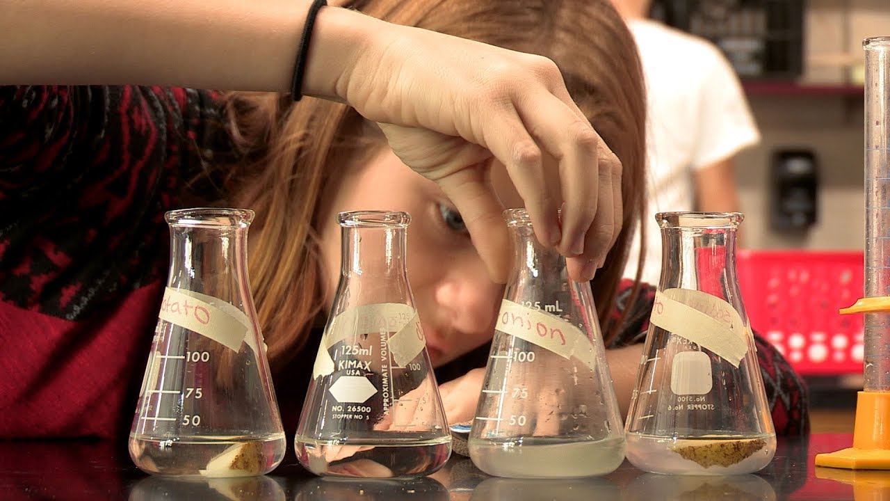 Competency-Based Learning: Developing Mastery of Skills and Content