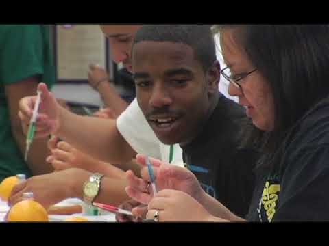 Work-Based Learning