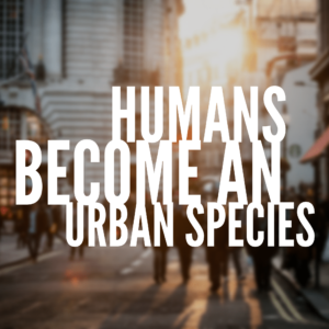 urban-species