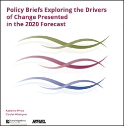 These policy briefs, produced by KnowledgeWorks and McREL International, speak to policymakers who are similarly committed to shaping the future of learning through policy.