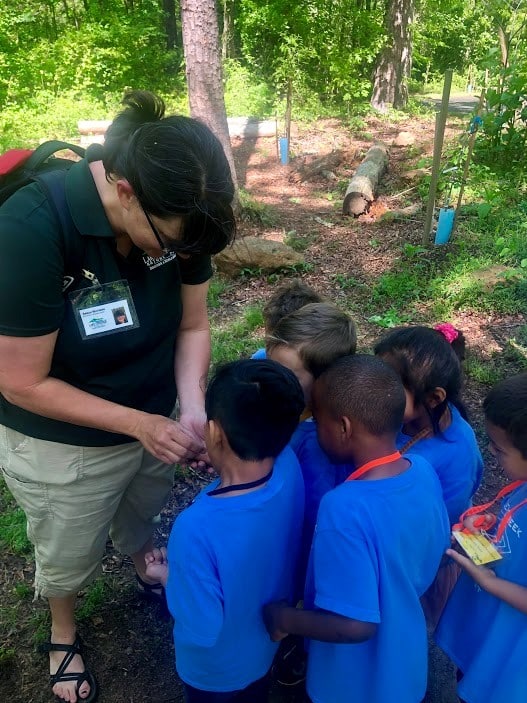 Learning happens anywhere and anytime. There are community partners, including parks and their staff, available to help us take learning out of the classroom.