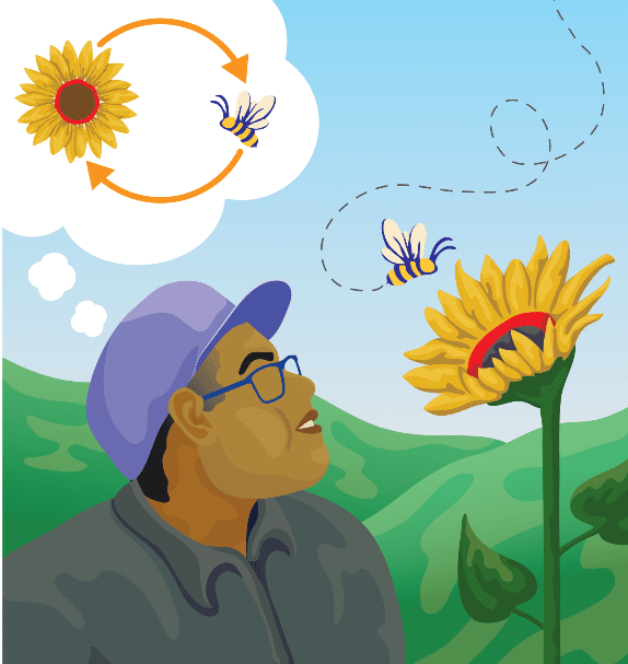 Systems Thinking Now: Observing Interconnections: illustration depicting brown-skinned man with black hair in gray button-up shirt and blue ball cap looking at a bee buzzing around a sunflower cap with a mountainous background and a small diagram in the upper left depicting the sunflower and the bee in a circular motion, pointing to each other. Reads at the top: "Identifies the circular nature of complex cause and effect relationships."