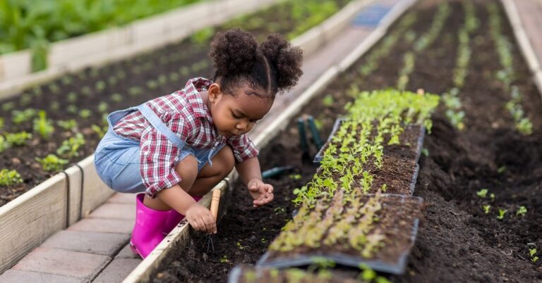 A little Black child in rain boots and bib overalls crouches over a raised garden bed, planting starts.